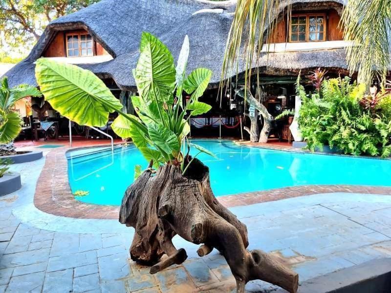 Dei Gratia Guest House มูซินา ภายนอก รูปภาพ