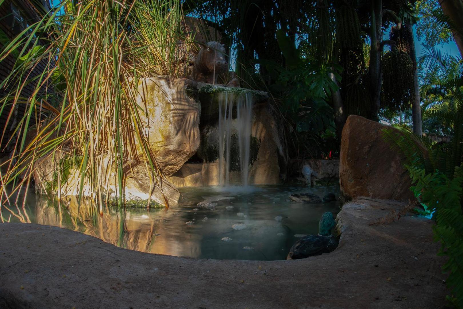 Dei Gratia Guest House มูซินา ภายนอก รูปภาพ