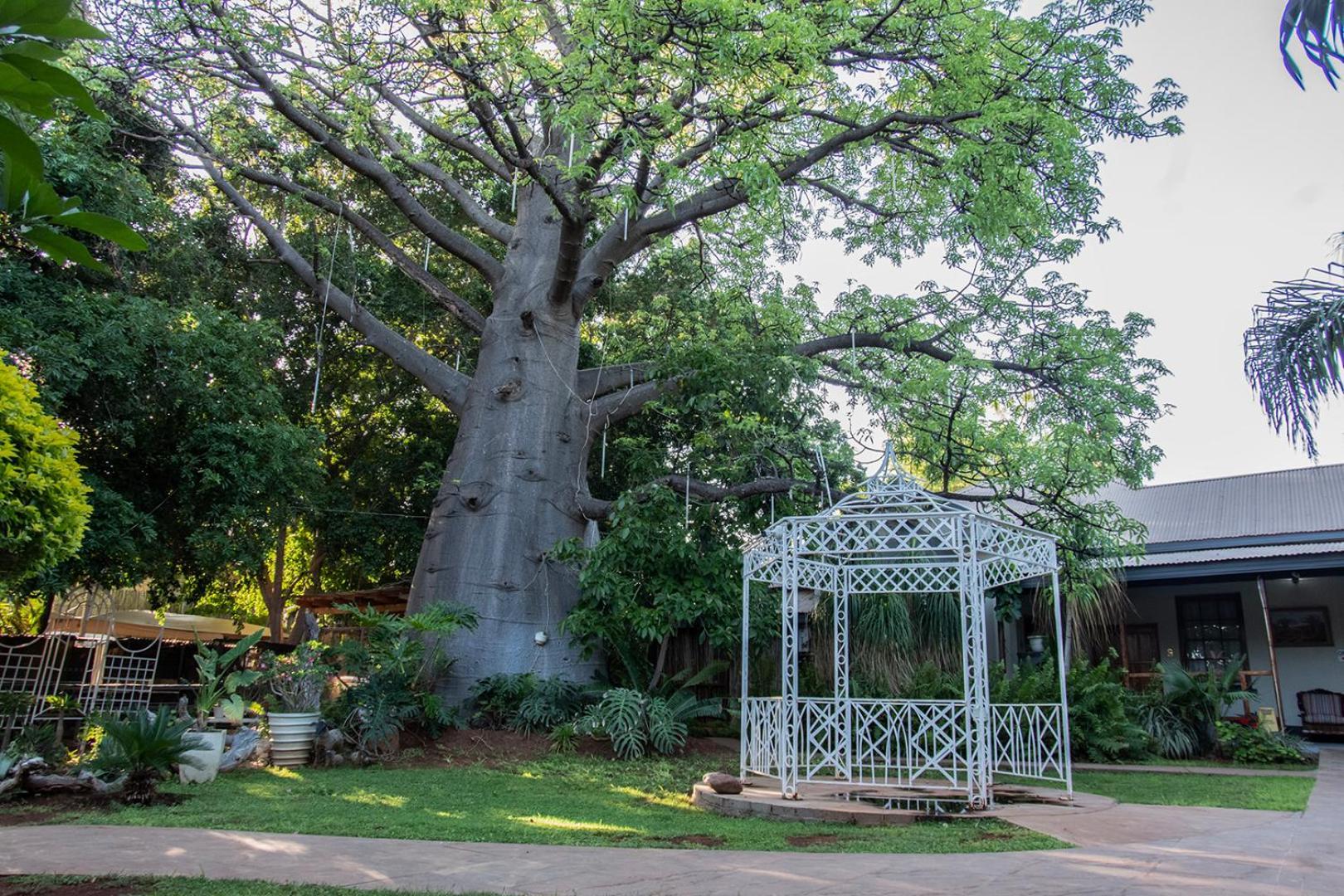 Dei Gratia Guest House มูซินา ภายนอก รูปภาพ